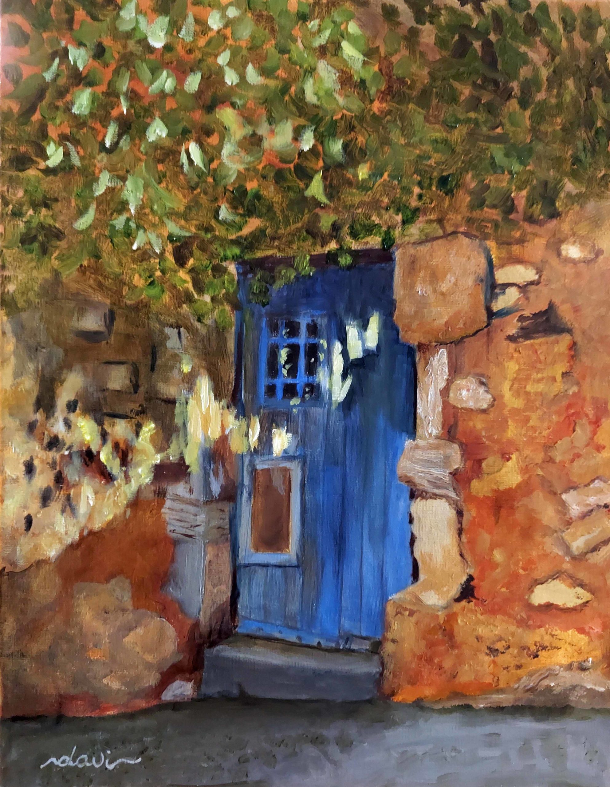 Shady Blue Door Roussillon
